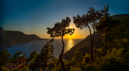 Mediterranean Pine Silhouettes Framing a Coastal Sunset View