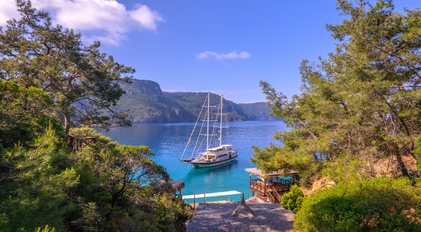 Bays, Coves & Forest