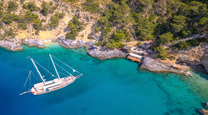 Bays, Coves & Forest