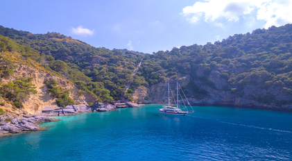 Bays, Coves & Forest