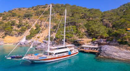 Bays, Coves & Forest