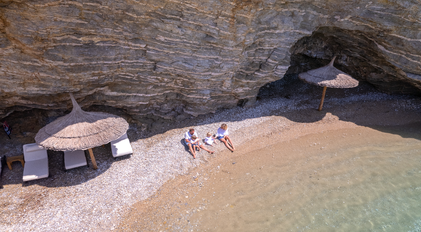 Bays, Coves & Forest