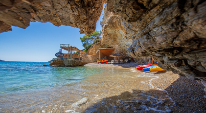 Bays, Coves & Forest