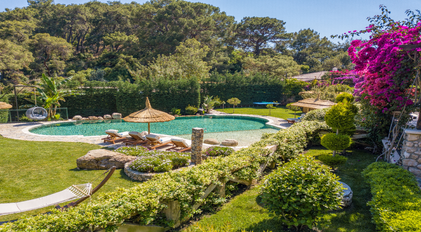 Secluded garden pool surrounded by dense Mediterranean greenery