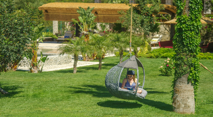 Garden wellness swing set in a quiet green space with soft sunlight