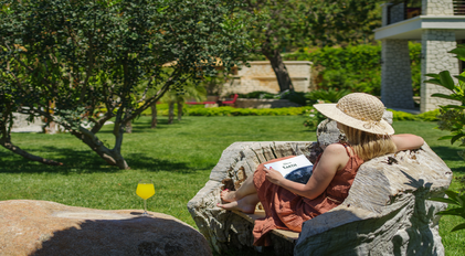 Villa Gökçe Exterior Views
