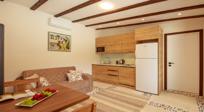 Compact kitchen and living area with wooden cabinetry and soft natural tones