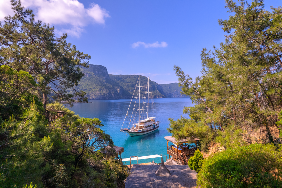 Private Forest-Framed Bay Overlooking the Mediterranean at Gokce Gemile Estate