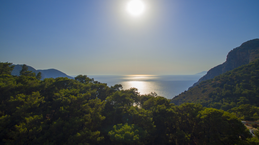 Sunlit Coastal Forest Overlooking the Mediterranean from a Hillside Bay