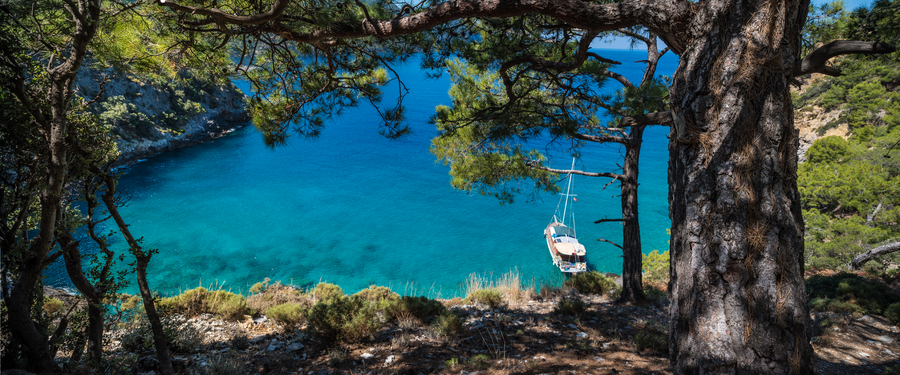 Forest-framed overlook of a turquoise Mediterranean bay with a moored yacht