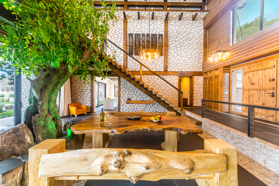 Living area with indoor tree and sculpted natural wood dining table